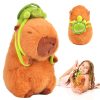 Capibara de Peluche: ¡El Compañero Perfecto para Niños!